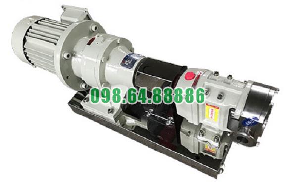 Máy bơm cánh khế 3RP-80 công suất 11 kW lưu lượng 24 m3/h áp suất 0.7 MPa